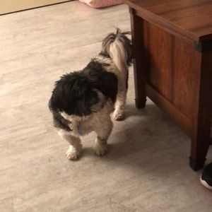 Meet your Posher, Ruth